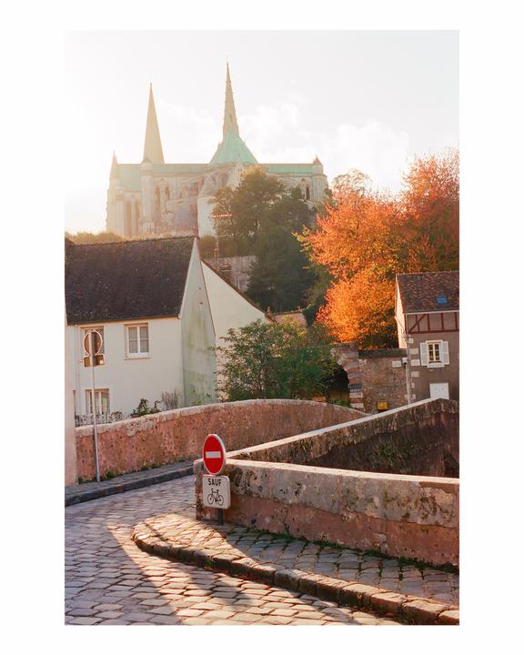 A cobblestone street and stone bridge lead towards a cathedral and buildings with autumn trees.