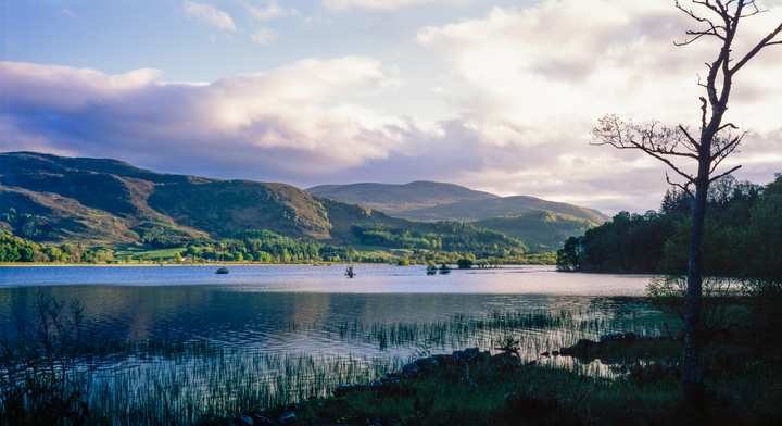 A body of water reflects the sky and mountains under a cloudy sky, with a bare tree on the right.