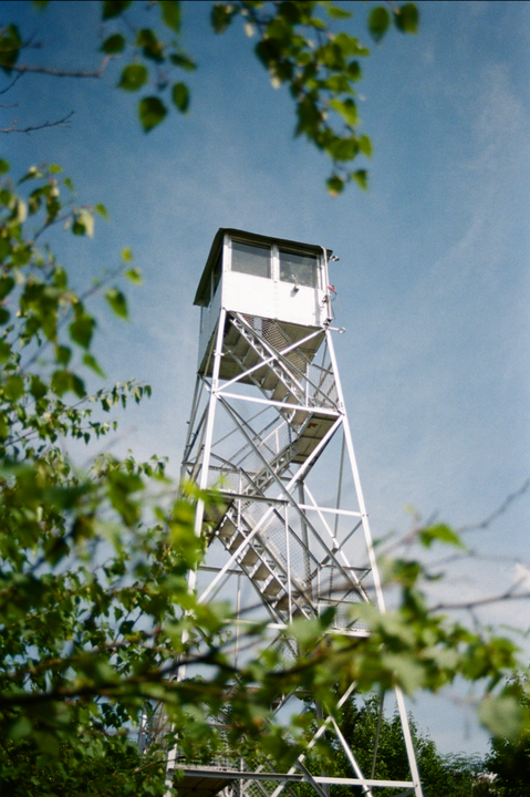 A fire lookout tower stands tall against a clear blue sky, framed by green leaves in the foreground.
