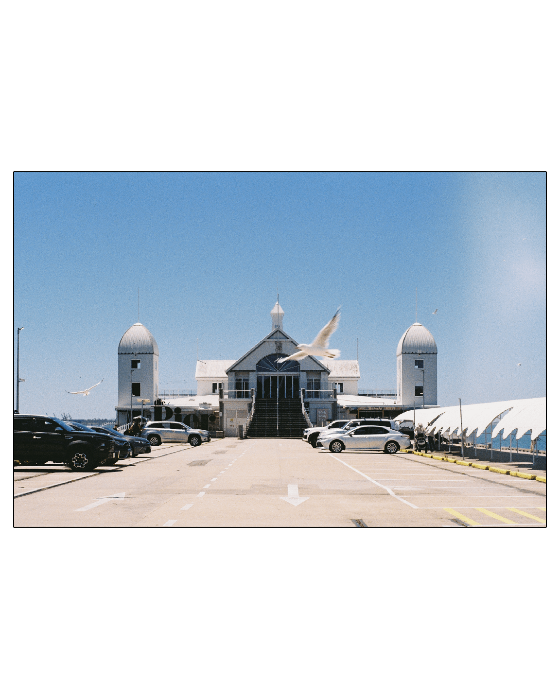 A seagull flies over a parking lot in front of a white building with two domed towers.