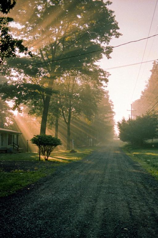 Sunlight streams through trees onto a gravel road and a house in a hazy rural setting.
