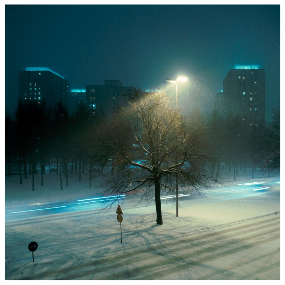 A bare tree stands in a snow-covered urban landscape at night, illuminated by a street light, with light trails from vehicles on a road.