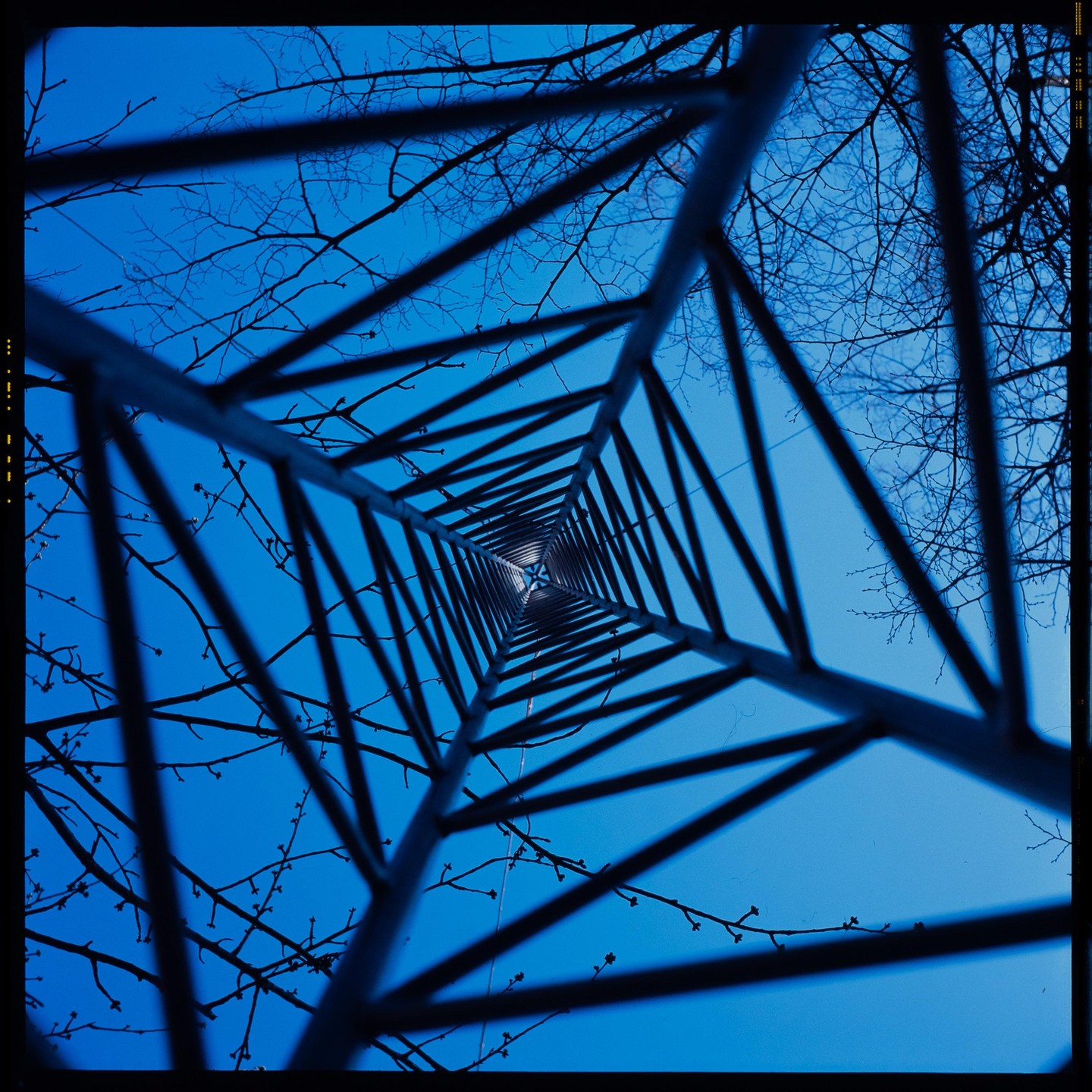 A low angle view looks up through the metal structure of a tower against a clear blue sky and bare tree branches.