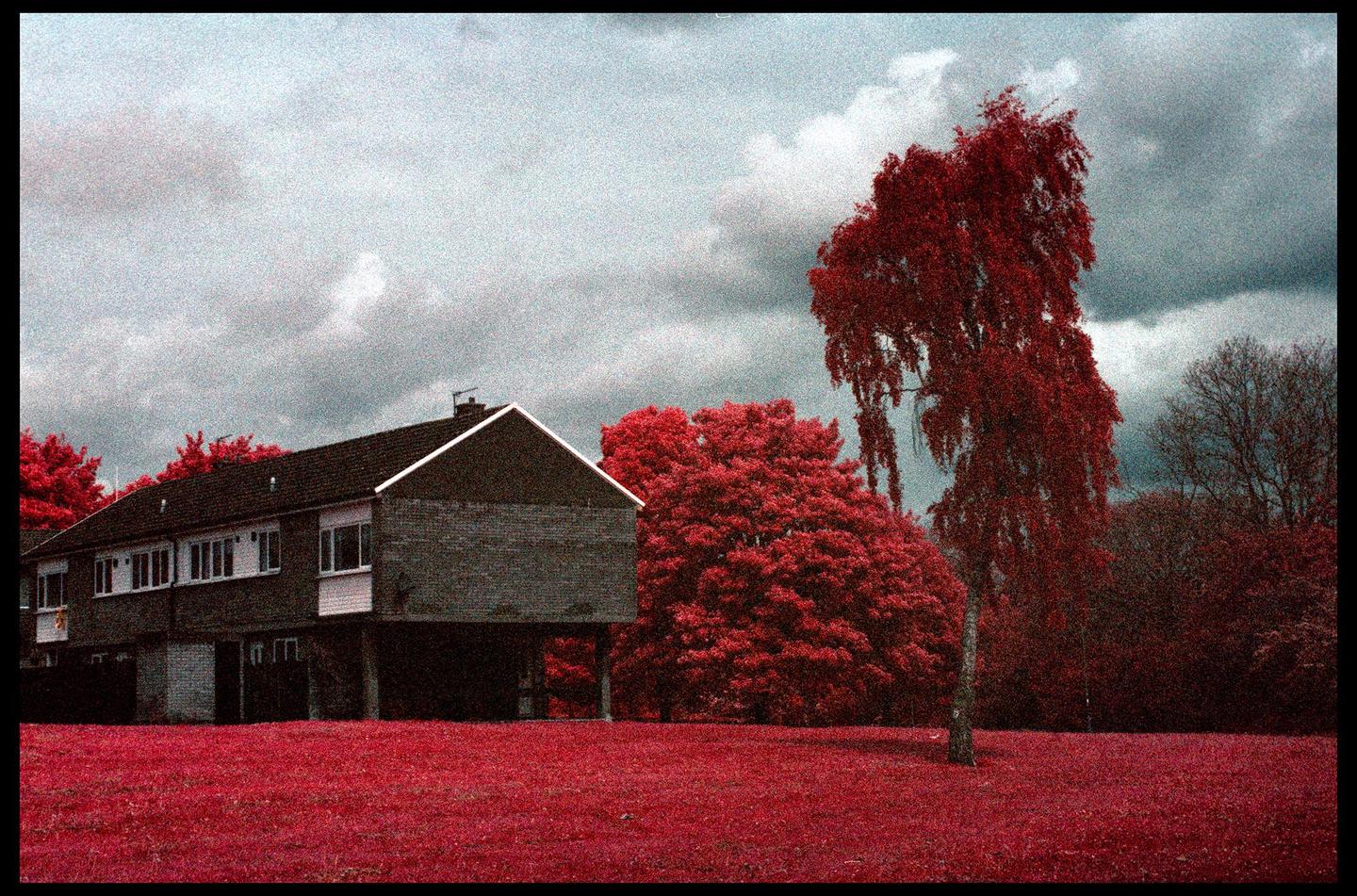 A house with a red lawn and red trees stands under a cloudy sky.
