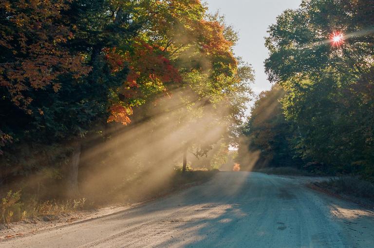 Sunlight streams through trees onto a dirt road, creating visible rays of light.