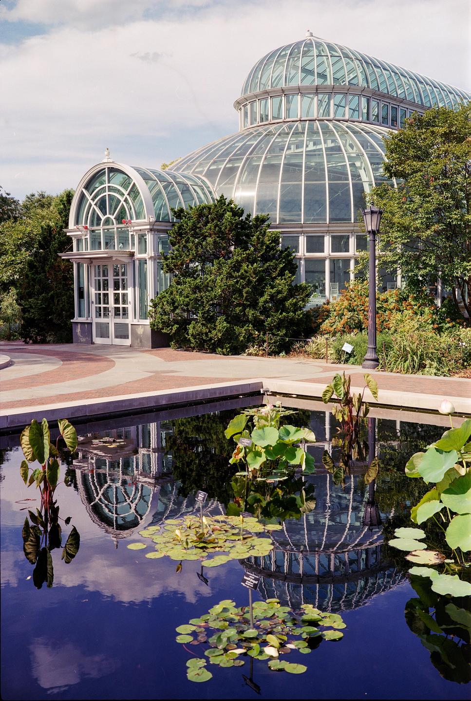 A glass conservatory is reflected in a pond with lily pads and other aquatic plants.