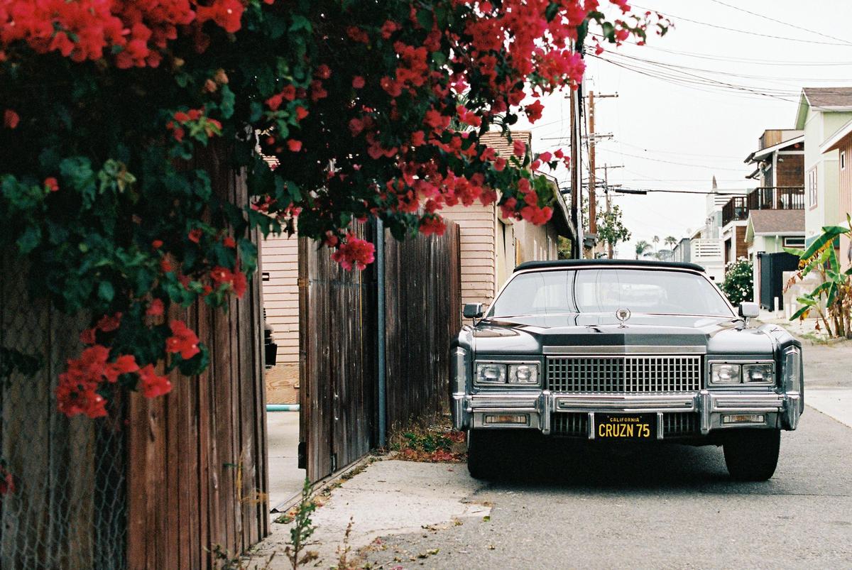 A black car with a yellow license plate is parked on a street next to a wooden fence with red flowers.