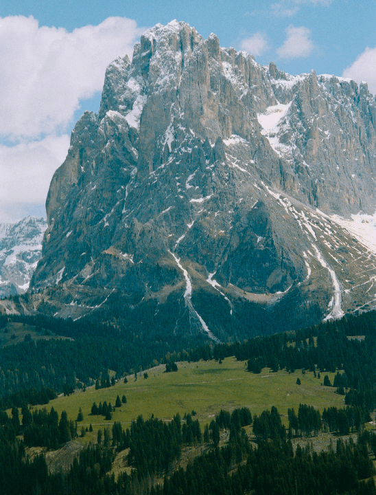 A snow-capped mountain rises above a green valley with a dense forest.