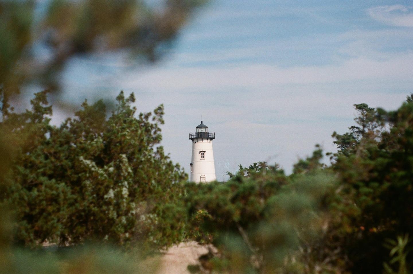 A white lighthouse with a black top is visible through green foliage under a cloudy sky.