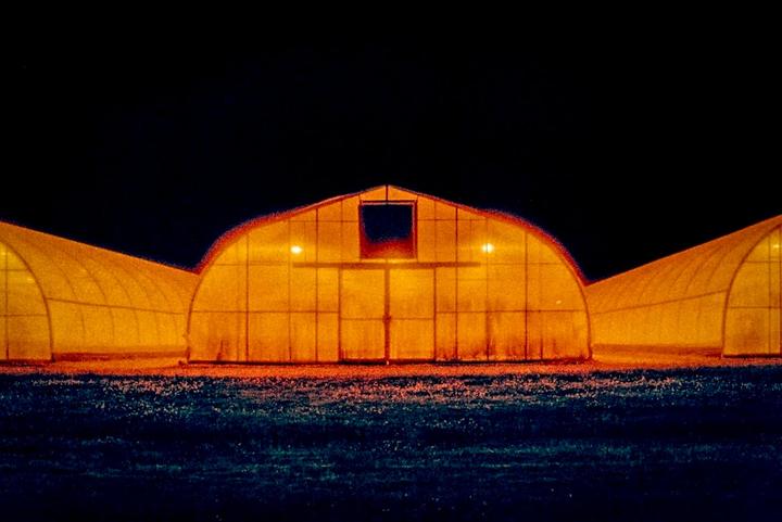 Three greenhouses with red lights glow in the dark against a black night sky.
