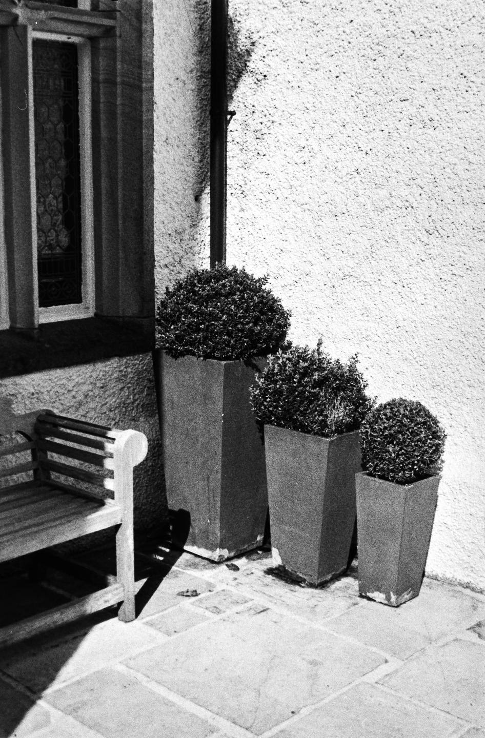 Three potted plants of varying sizes are arranged next to a wooden bench and a building with a window.