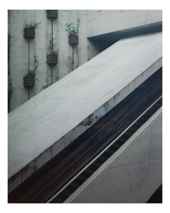 An escalator ascends alongside a concrete wall adorned with potted plants.