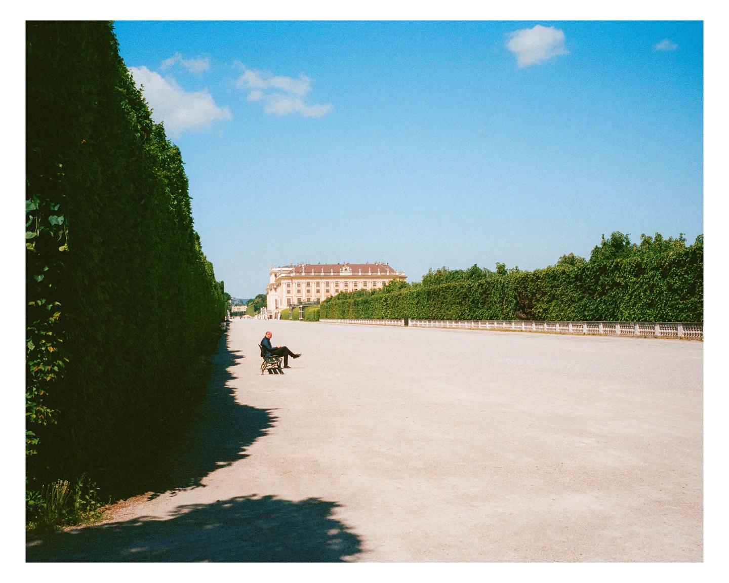 A man sits on a bench along a wide gravel path lined with tall hedges, with a large building in the distance under a clear sky.