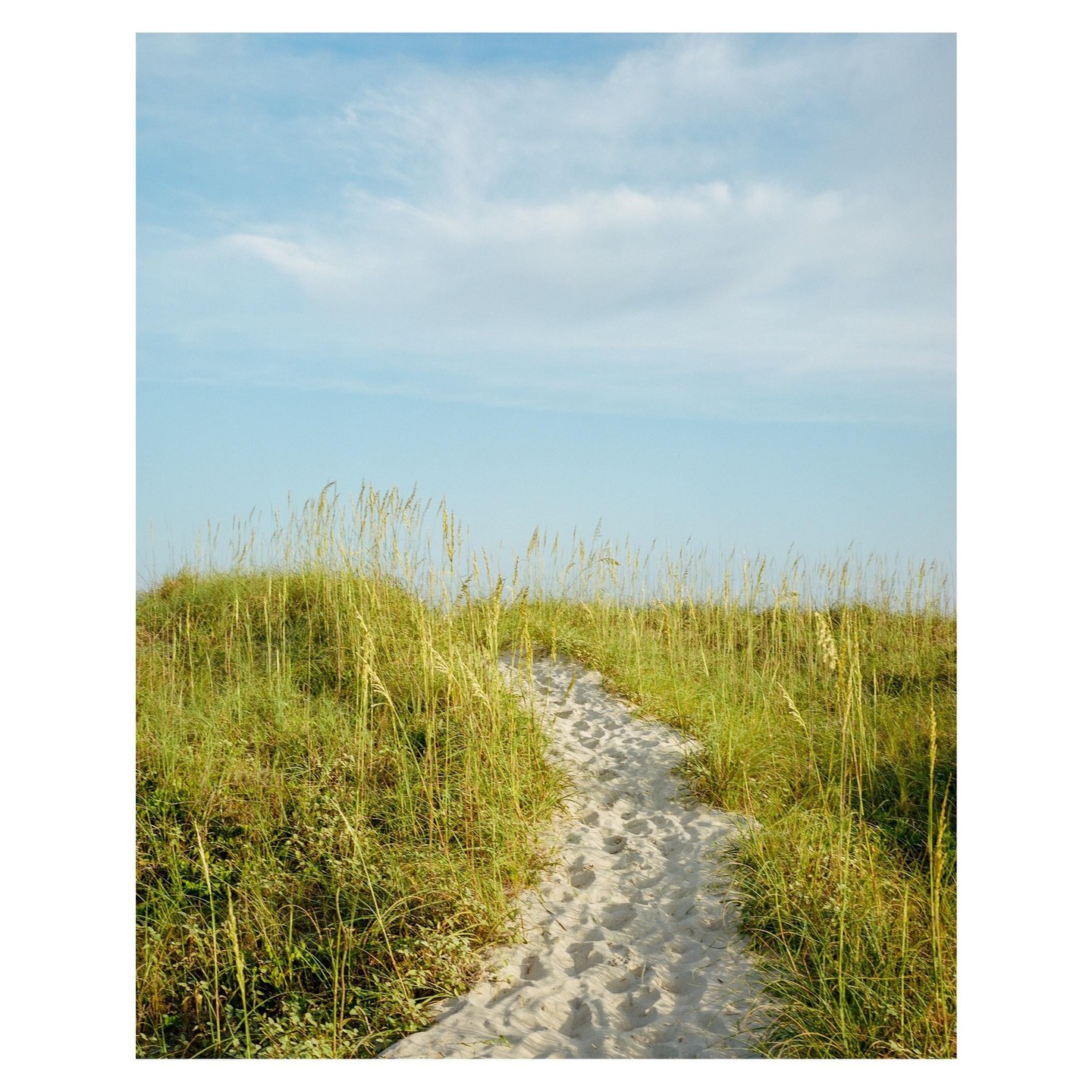 A sandy path leads through tall grass towards a clear sky.