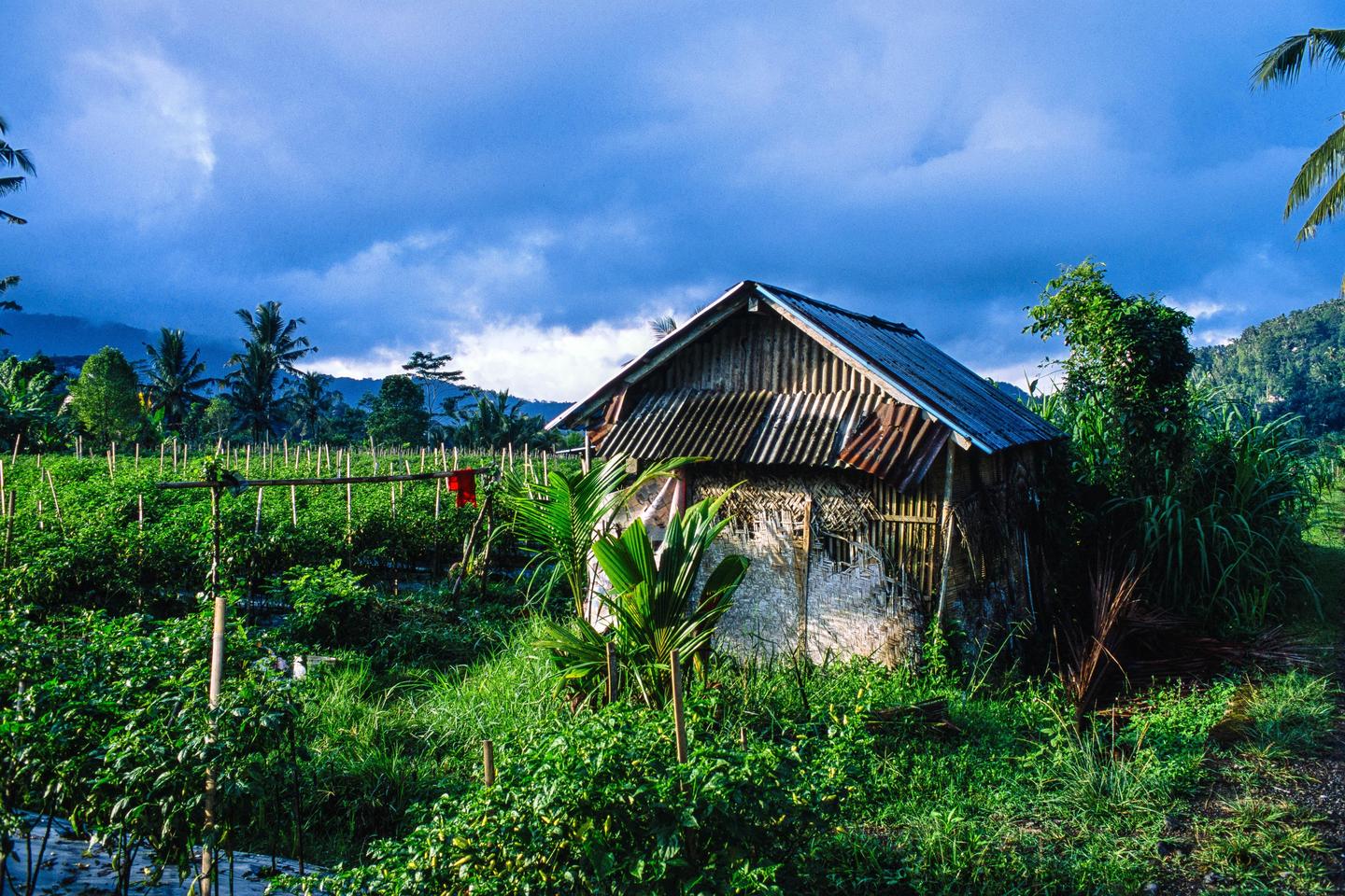 A small, rustic hut with a corrugated metal roof stands in a lush green field under a dramatic cloudy sky.