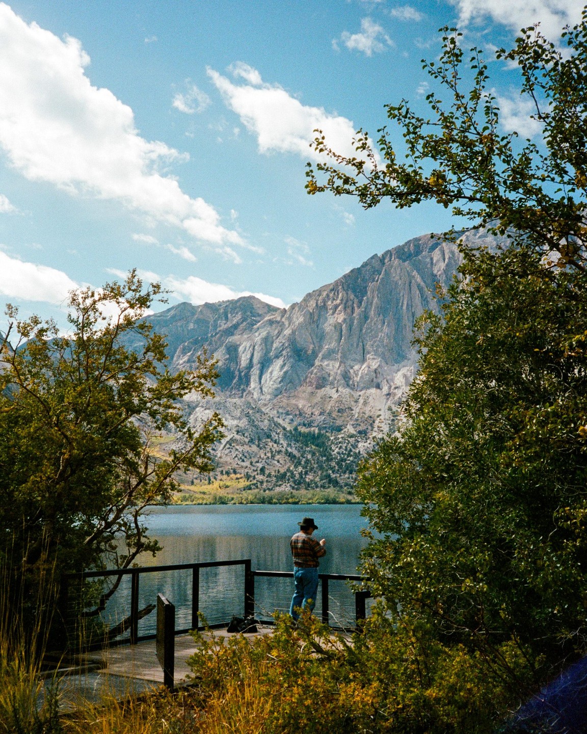 A man in a plaid shirt and hat stands on a wooden deck by a lake, surrounded by trees, with a large mountain in the background under a blue sky with clouds.