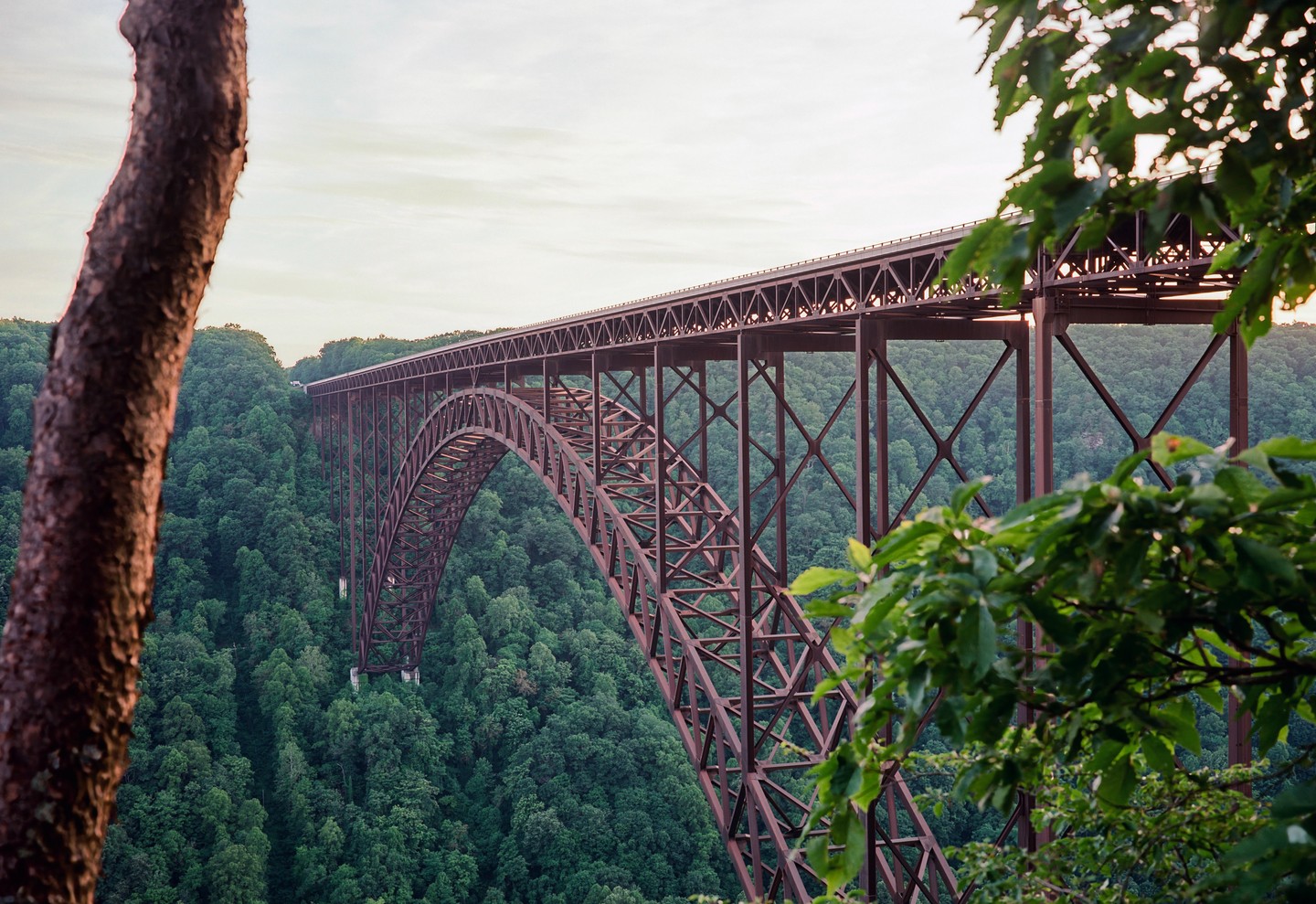 A large metal bridge spans a deep gorge filled with green trees under a pale sky.