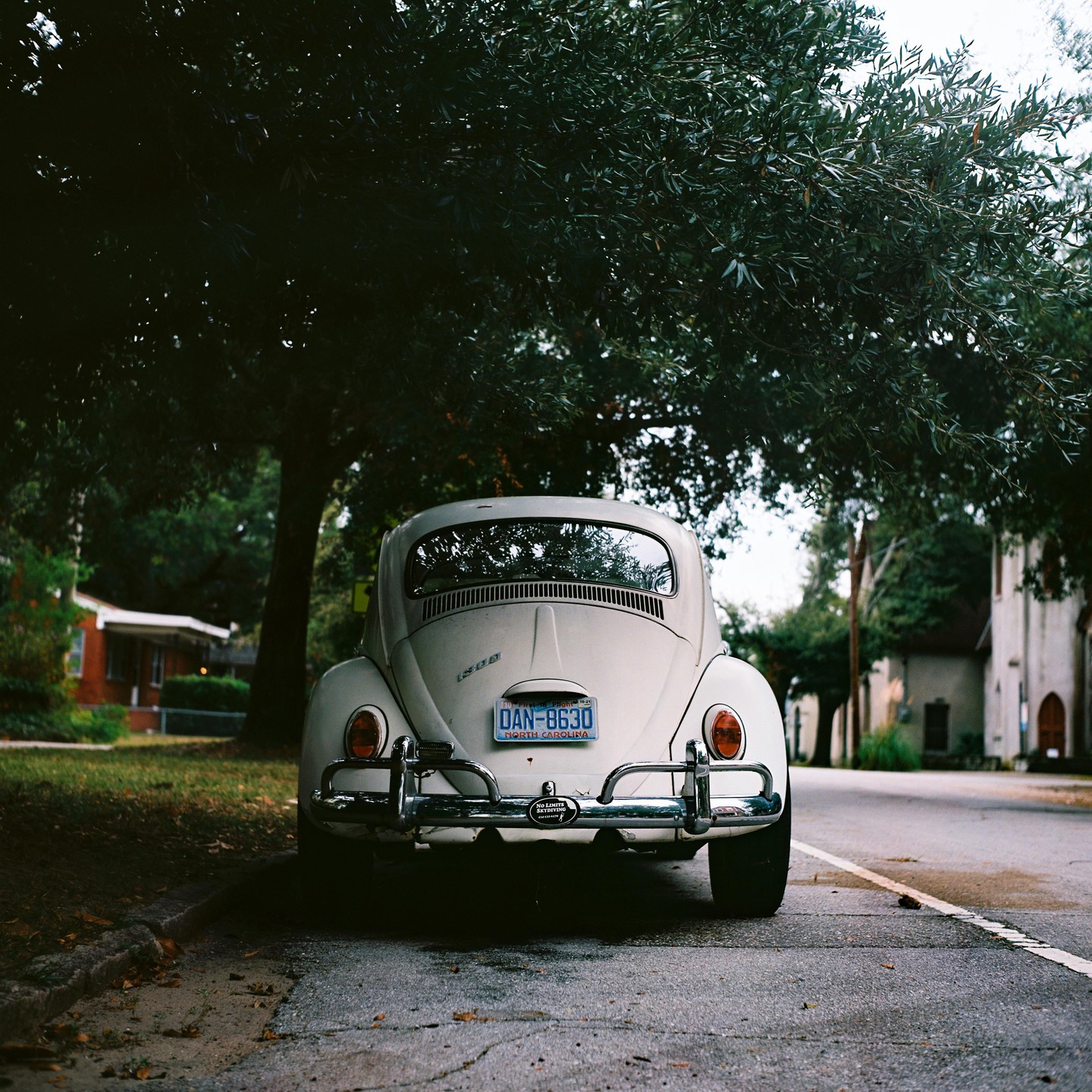 A white Volkswagen Beetle is parked on a street under a large tree.