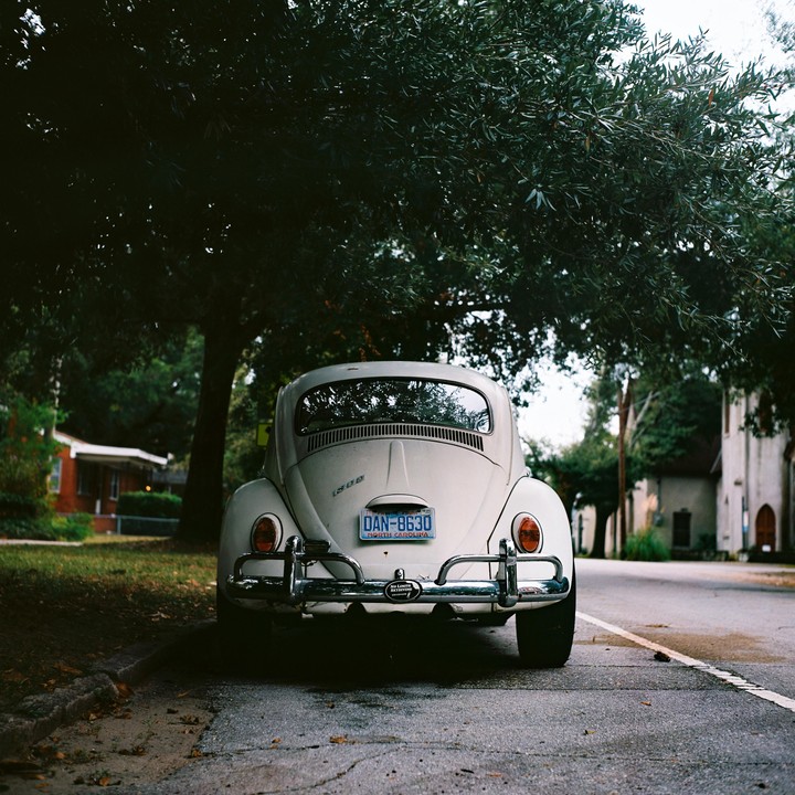 A white Volkswagen Beetle is parked on a street under a large tree.