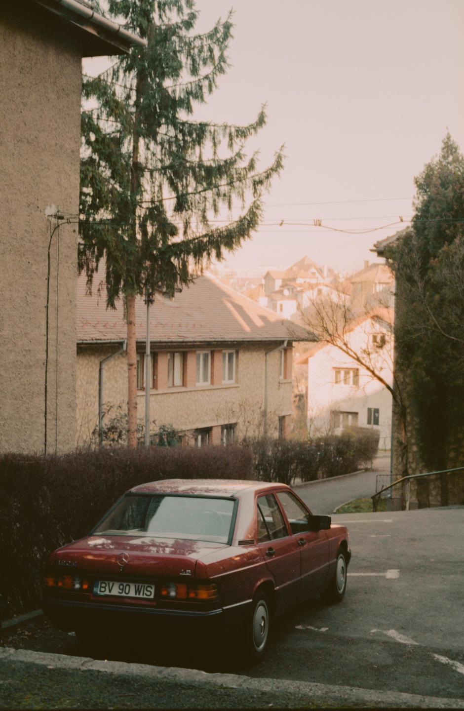 A red car is parked on a street next to a building and a large evergreen tree.