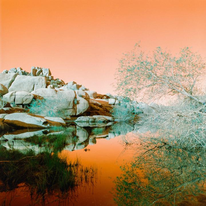A body of water reflects a rocky hill and a tree under an orange sky.