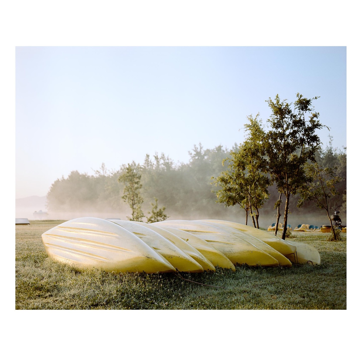 Several yellow canoes are stored upside down on a grassy field with a hazy forest in the background.