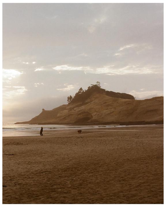 A person and a dog walk on a sandy beach with a large cliff in the background under a cloudy sky.
