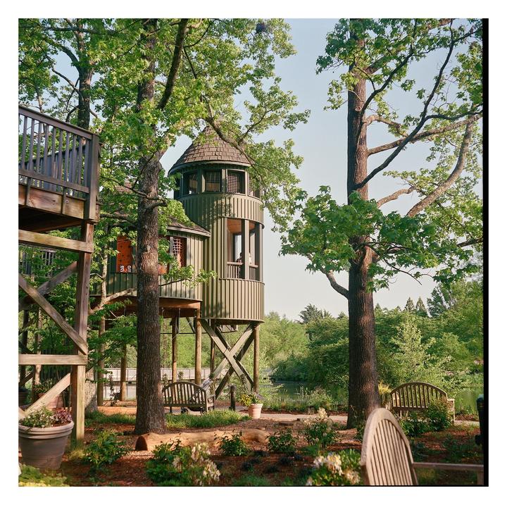 A green tree house with a conical roof stands among tall trees, overlooking a body of water.