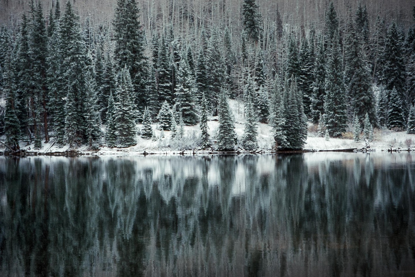 A snow-covered forest lines the edge of a still lake, reflecting the trees on its surface.