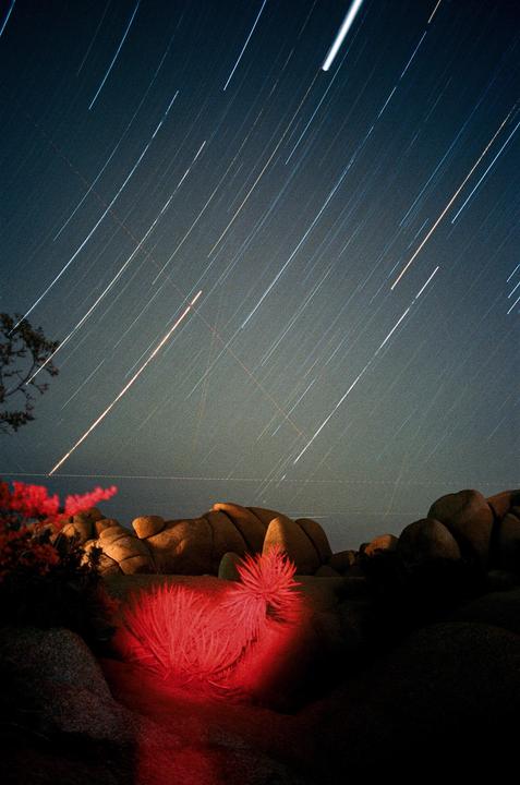 A Joshua tree and boulders are illuminated by red light under a night sky with star trails.