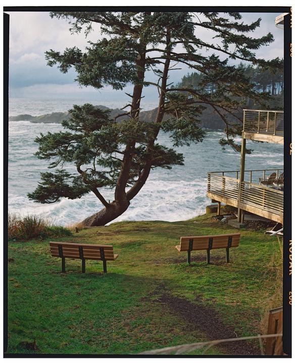 Two benches sit on a grassy cliff overlooking a turbulent ocean with a large tree and a wooden deck.