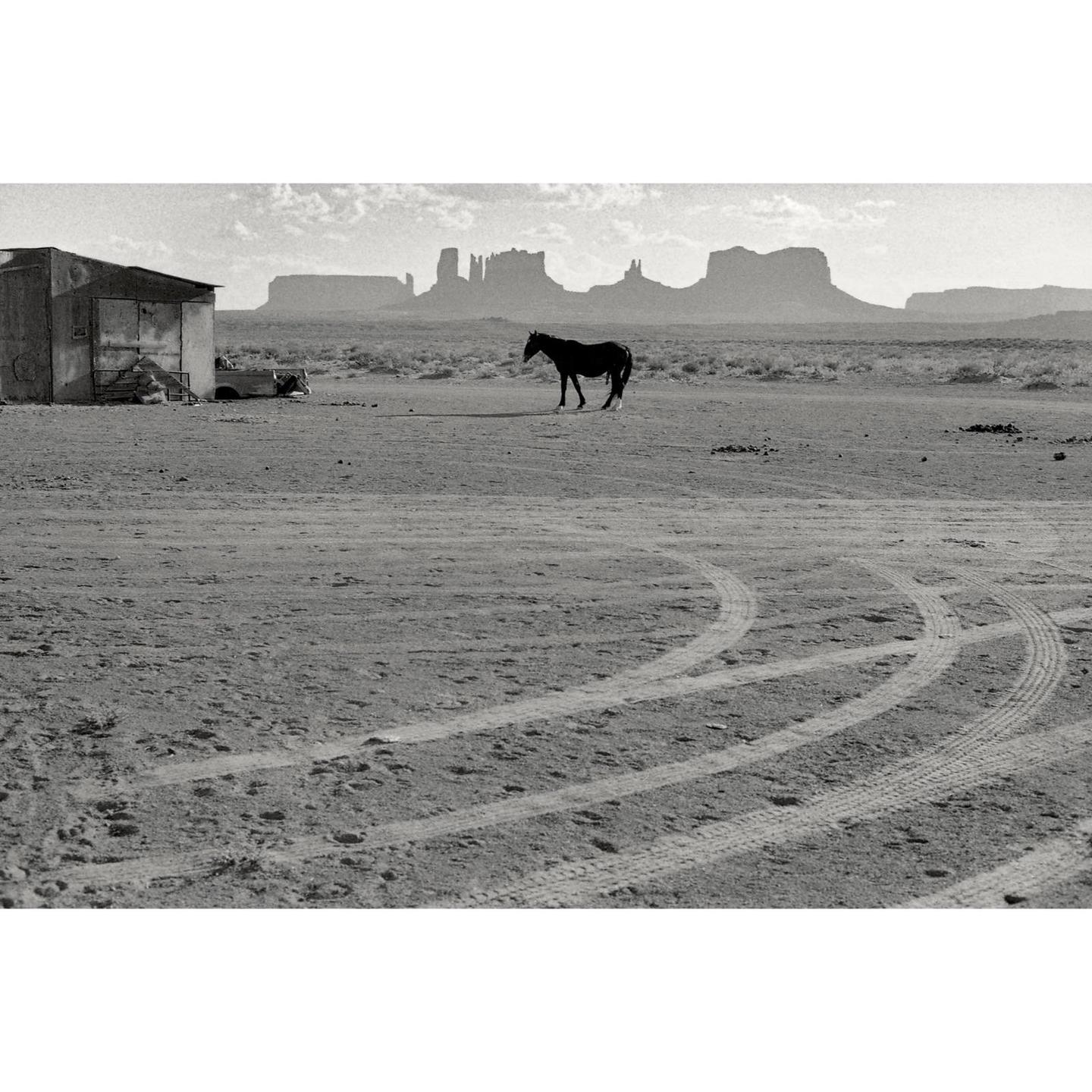 A horse stands in a desert landscape with a small building and rock formations in the background.