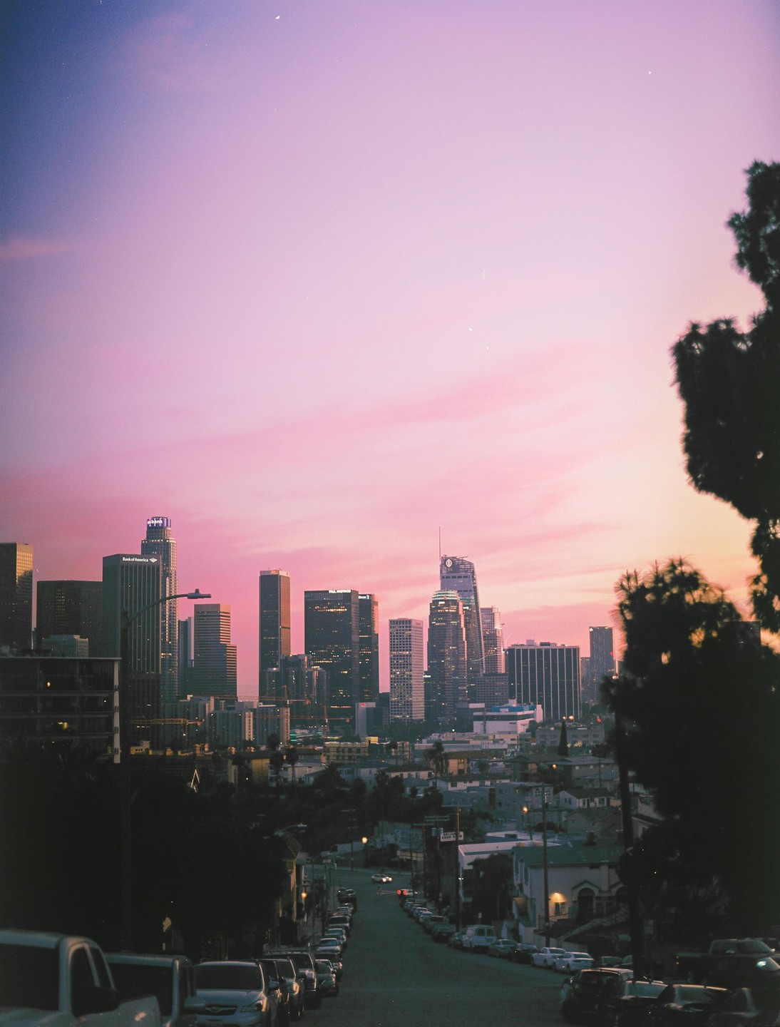 A city skyline with tall buildings is visible under a pink and purple sky, with a street lined with parked cars in the foreground.
