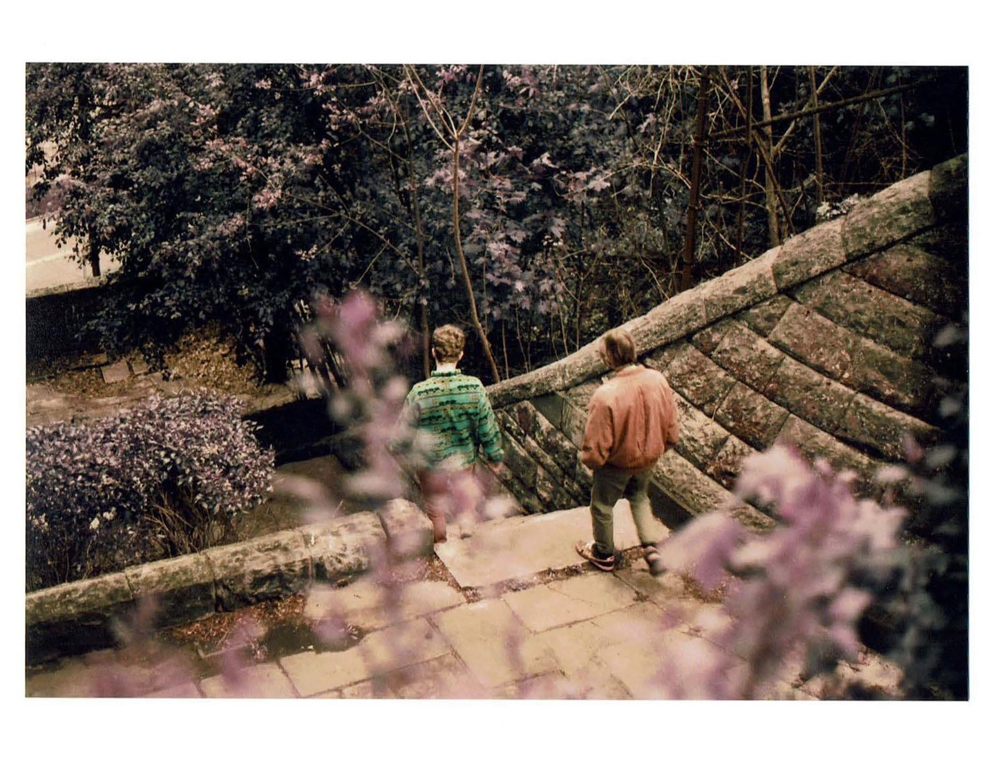 Two people walk down a stone staircase surrounded by trees and bushes.