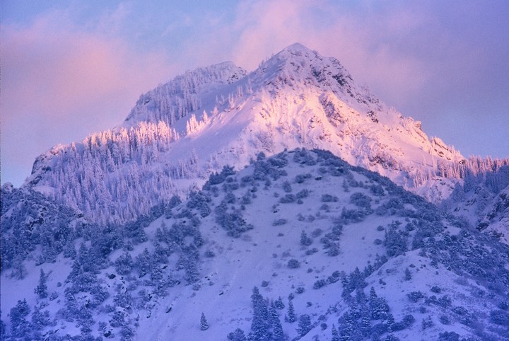A snow-covered mountain peak is illuminated by pink light under a purple sky.