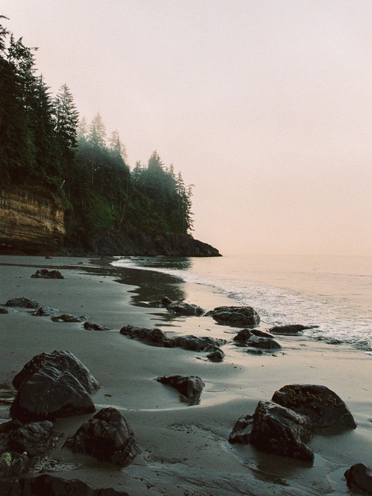 A misty beach with dark rocks and a tree-covered cliff meeting the ocean under a pale sky.