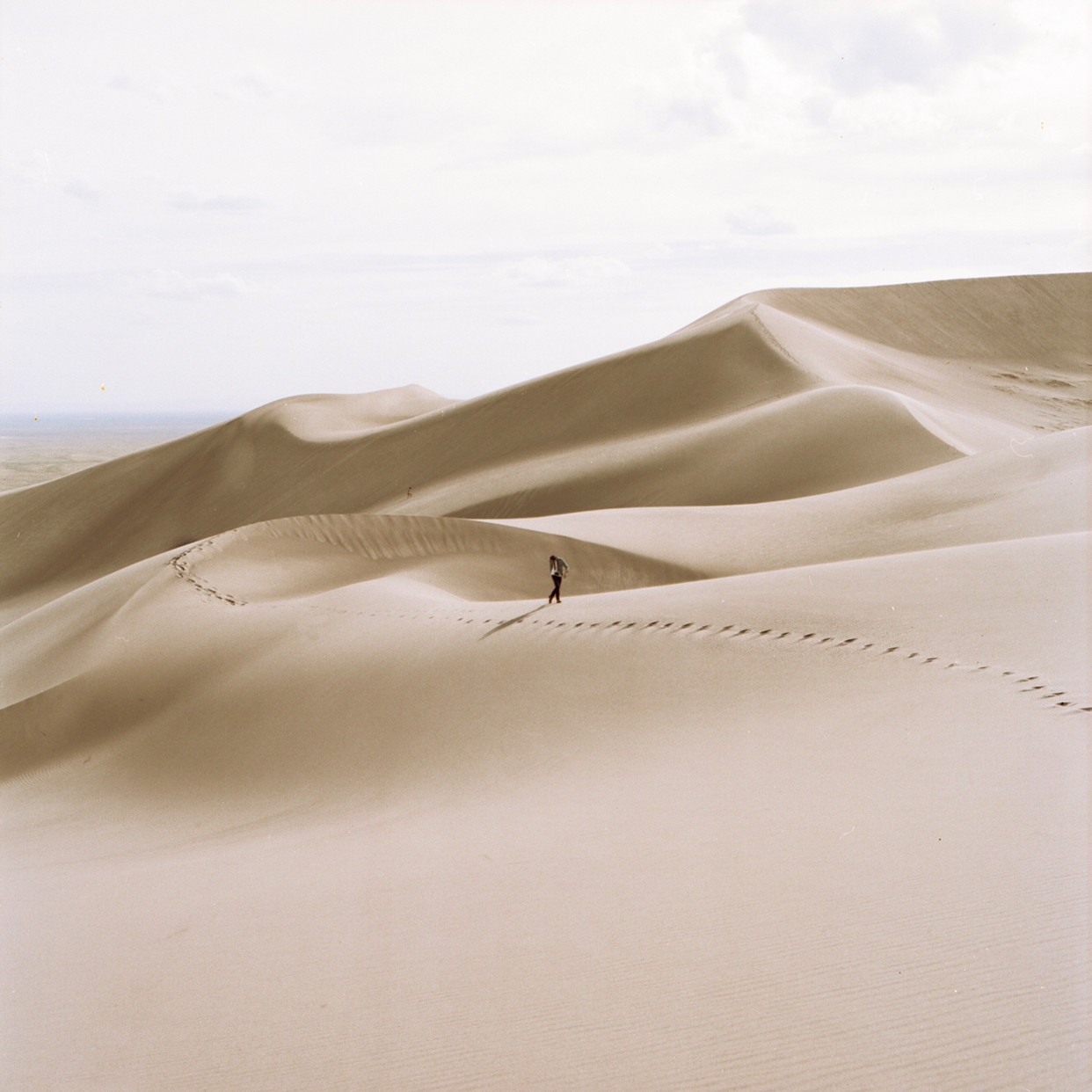 A person walks along a ridge of sand dunes, leaving footprints behind them.