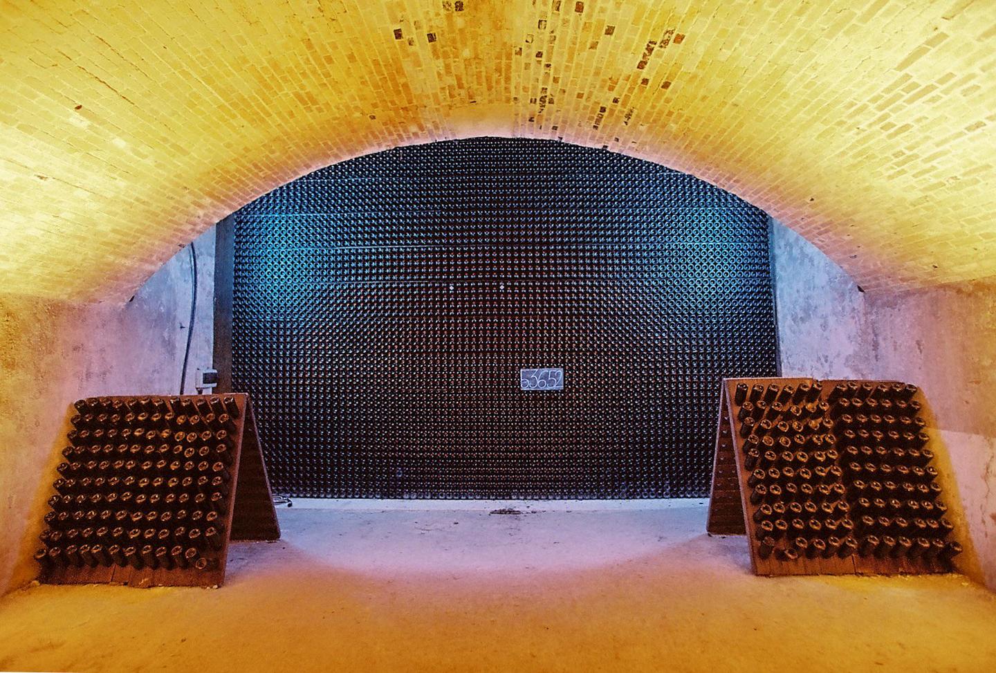 A large wall of wine bottles is visible through an arched brick doorway in a cellar.