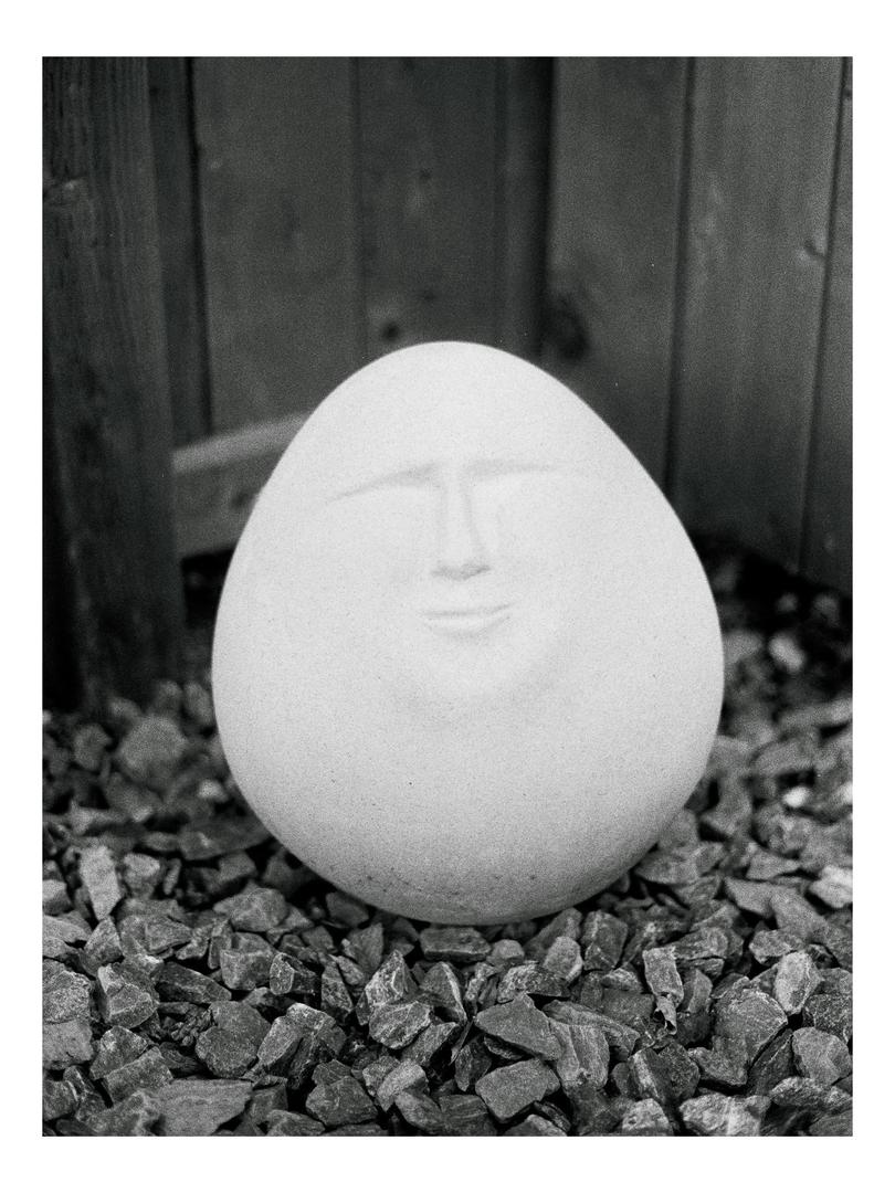 Can you spot which two are Analog and which two are digital? [Minolta xG7, Rokkor 50mm, Milford HP5], shot on MINOLTA XG-7