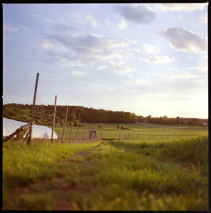 A low-angle landscape shows a grassy field with a fence and a greenhouse on the left, leading to a distant forest under a cloudy sky.
