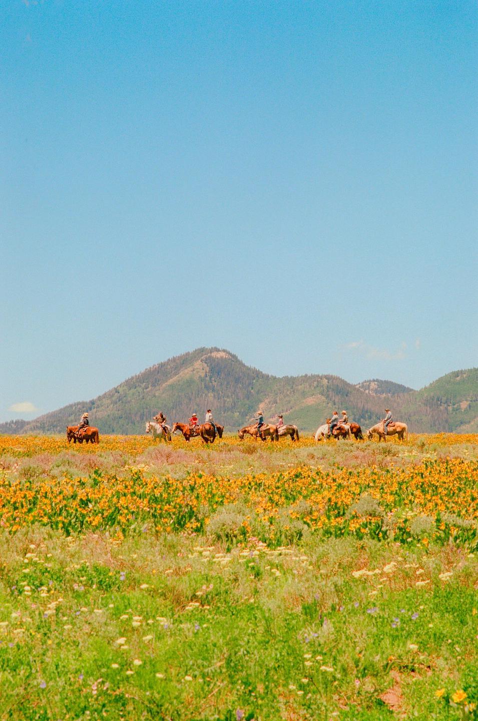 A group of people on horseback ride through a field of yellow wildflowers with mountains in the background.