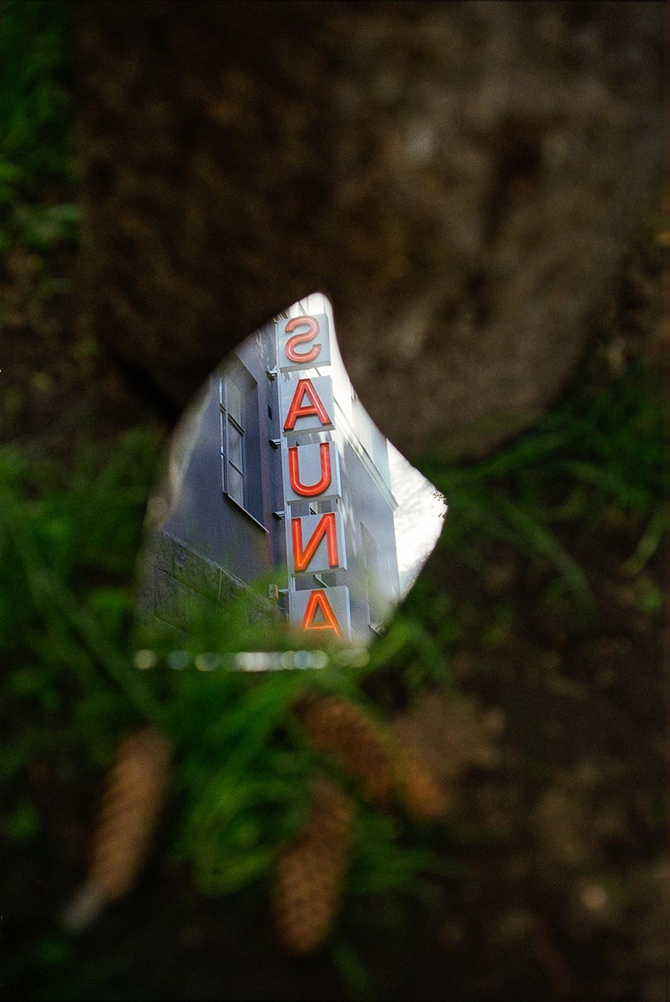 A neon sign for a sauna is reflected in a puddle on the ground with pine cones and grass around it.