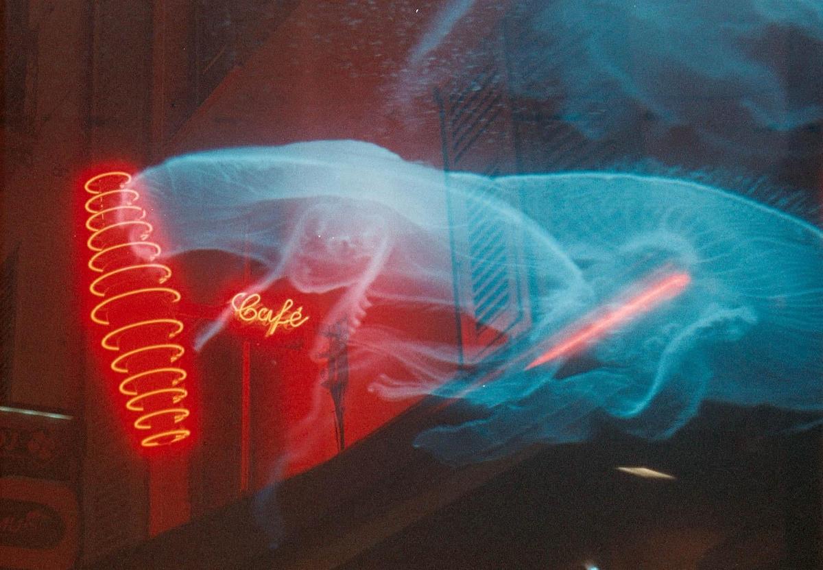 A red neon sign for a cafe is visible through a blurry, light blue, jellyfish-like shape.