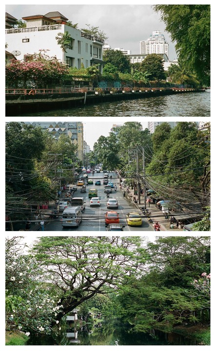 Three distinct views of Bangkok are presented, showing a canal with buildings, a busy street with traffic and overhead wires, and a serene canal framed by lush trees.