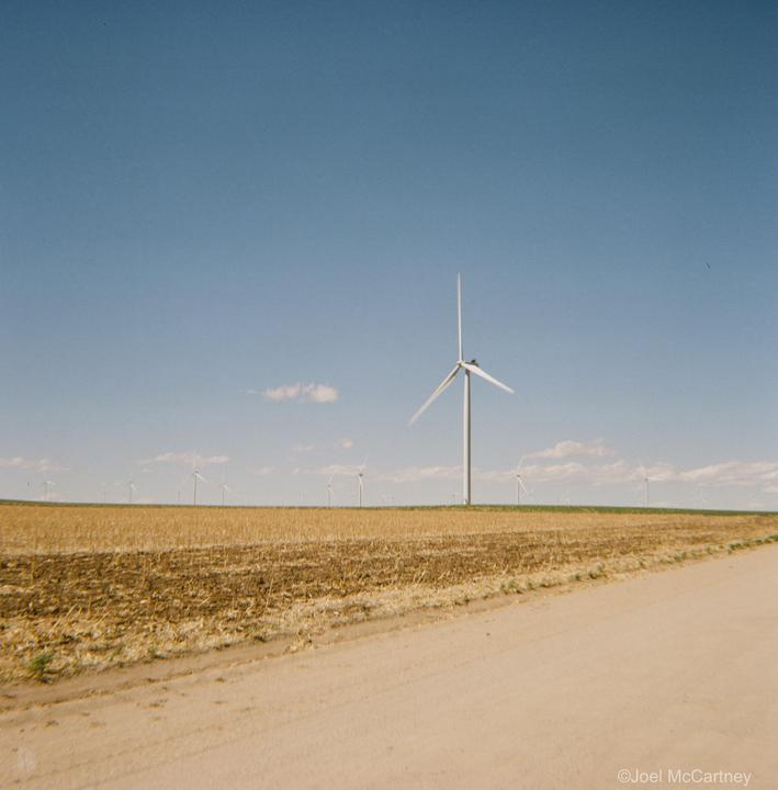 A dirt road runs alongside a field with numerous wind turbines under a clear blue sky.