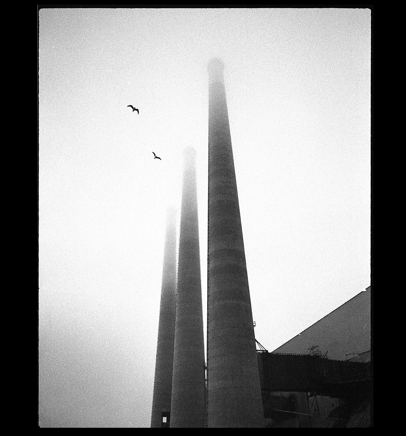Three tall industrial chimneys rise into a hazy sky with two birds flying overhead.