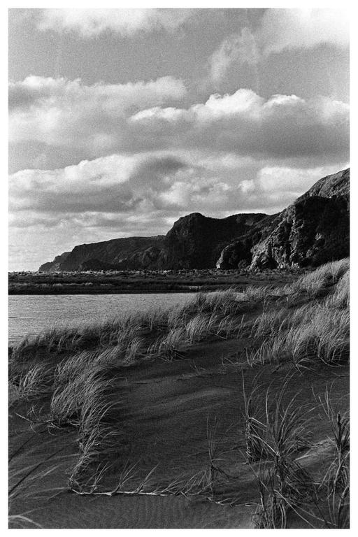 A body of water is visible in front of a sandy beach with tall grass and a mountain range under a cloudy sky.