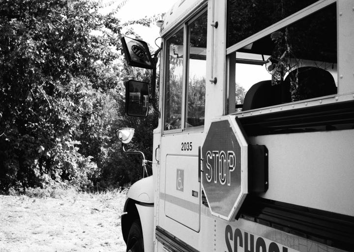 A school bus with a stop sign extended is parked on a dirt road next to a dense forest.