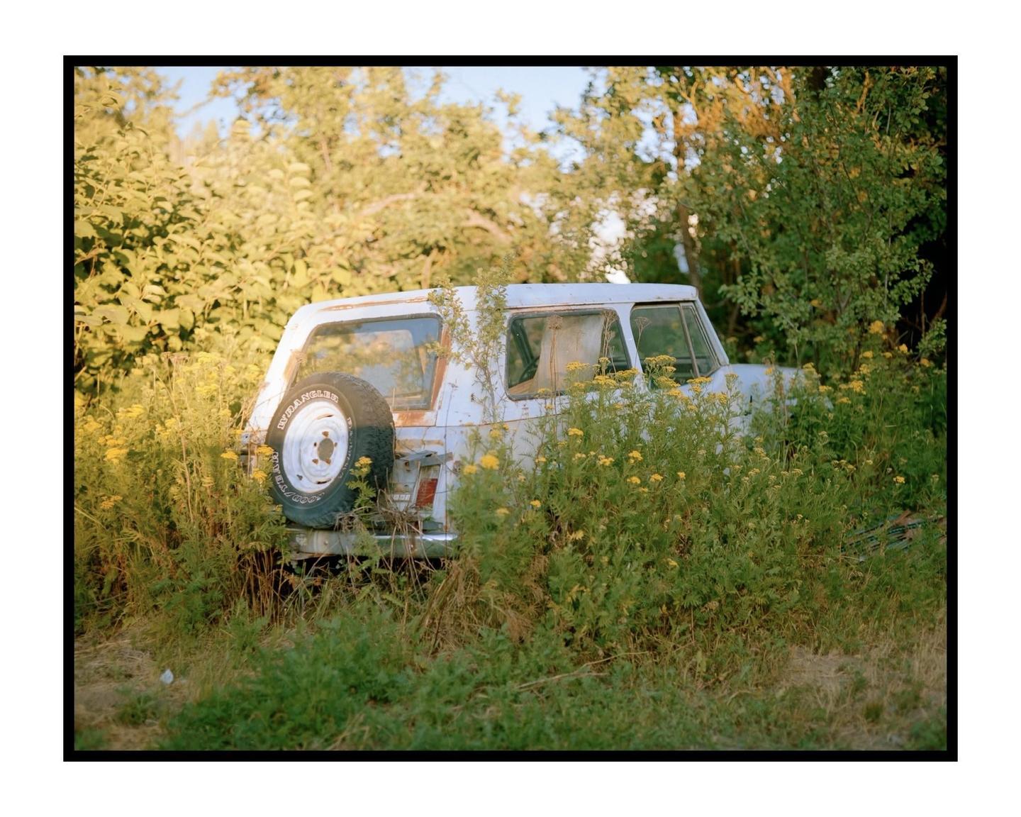 A white vehicle is overgrown with green foliage and yellow flowers.