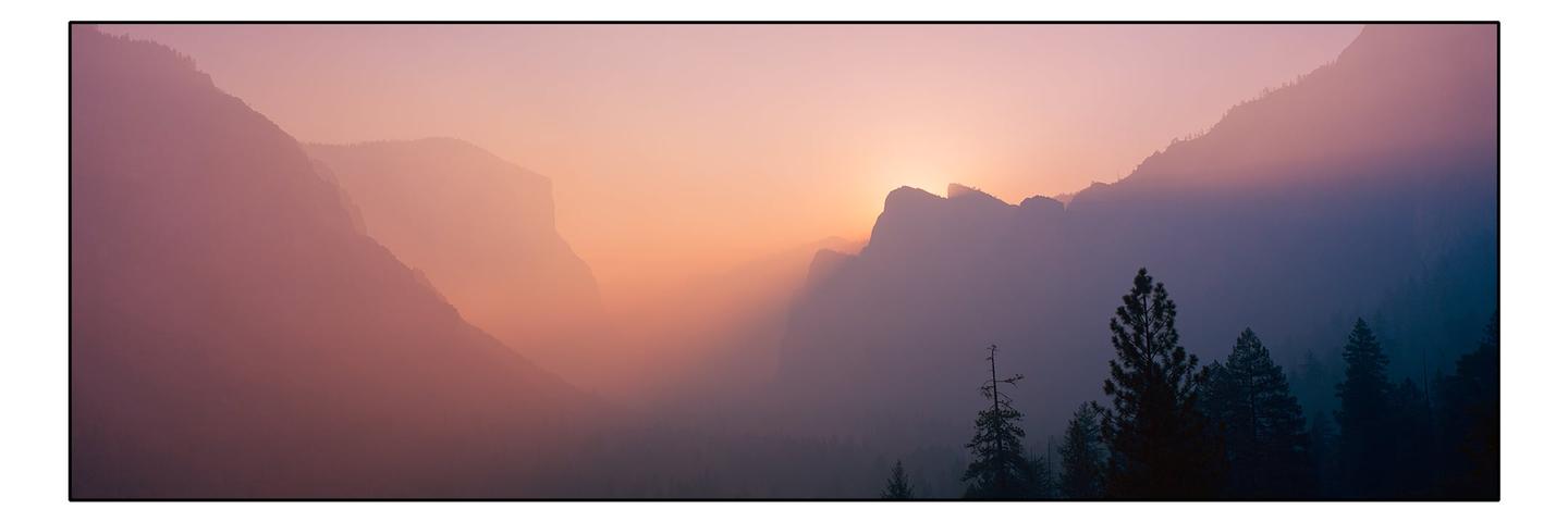 The sun rises over a hazy mountain range with pine trees in the foreground.